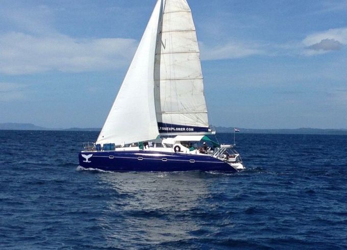 Dean 44 Calypso
