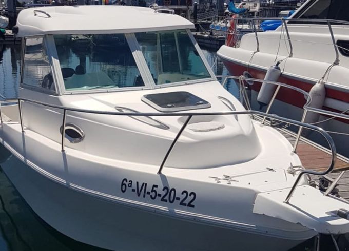 Delfyn 595 Bufona
