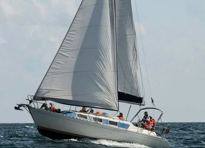 Dromor 3000 Alana