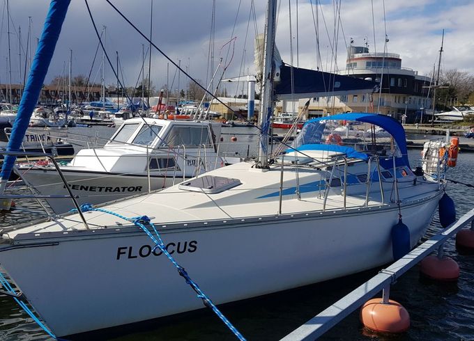 Elan 33 Floccus