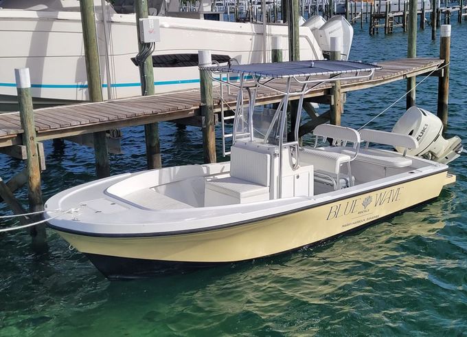 Dusky 23 Dusky 11
