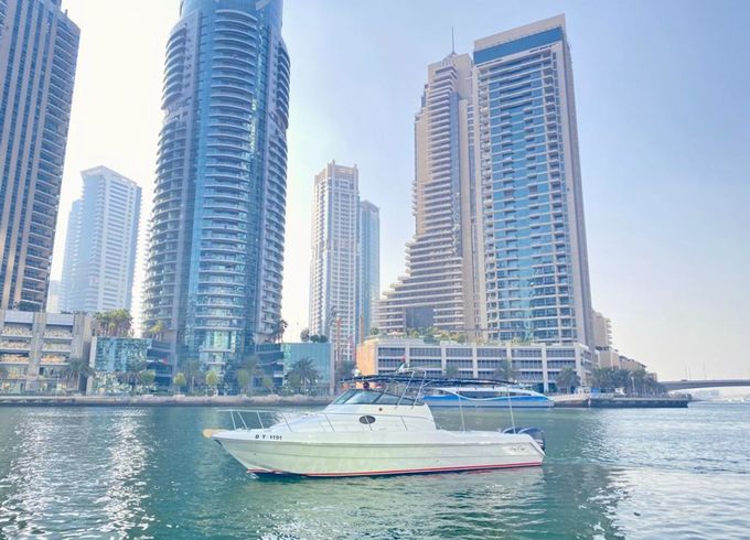 Gulf Craft 31 Walkaround DT1191