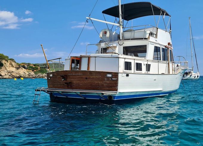 Halvorsen 40 Belmondo