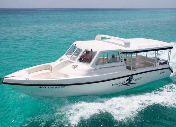 Gulf Craft 36 Kastor