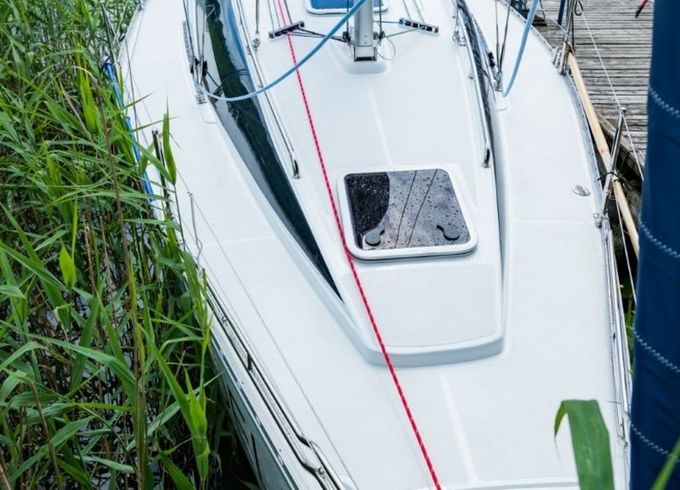 Hornet 29 Noel