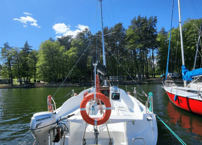 Hornet 29 Zakapior