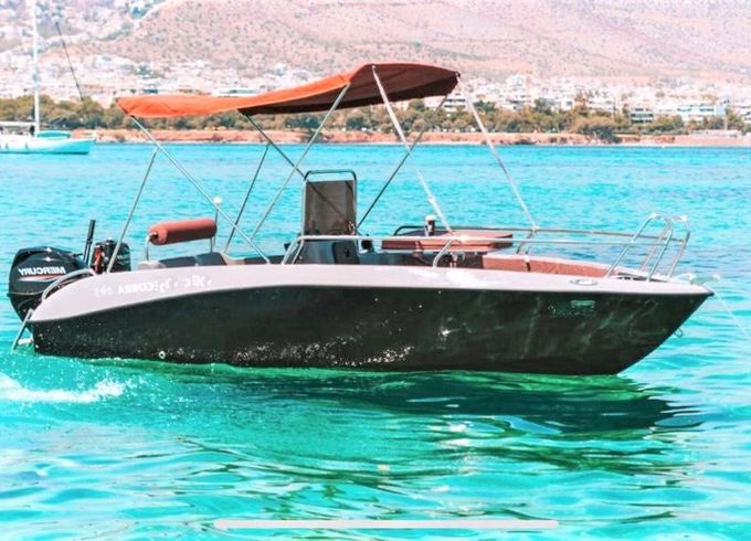 Isatek 495 Cobra Sea Joy 1