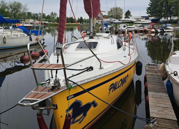 Janmor 28 Palomino