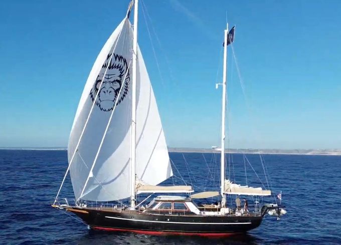 Jongert 22D Iron Monkey