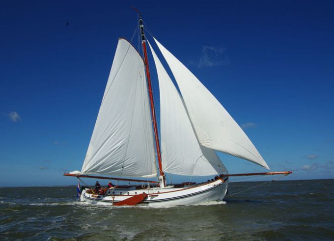 Lemsteraak 14.5 Ronde Walvis