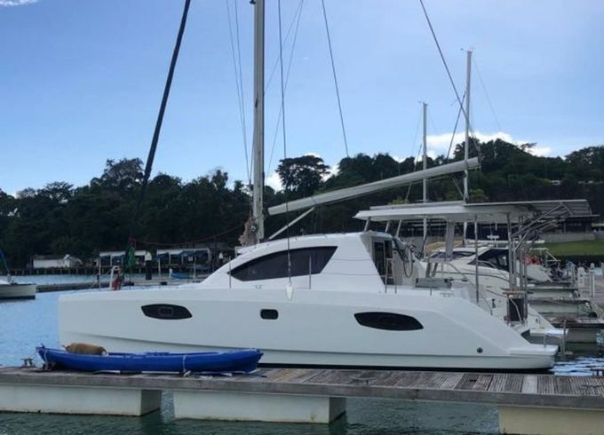 Leopard 384 Salty Dogs