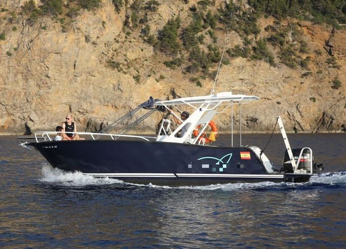 Moggaro 850 Sport Javier Capapuig