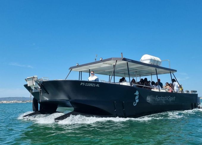 Nautiber Cat 12 FantastikSpirit