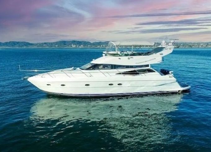 Neptunus 560 Double Down