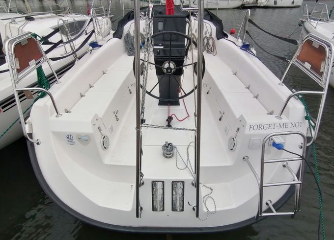 Northman Maxus 33.1 Forget me not