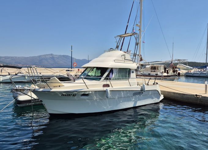 Ocqueteau 885 07