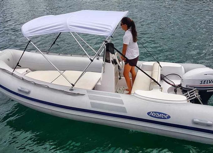 Predator 490 Pelut