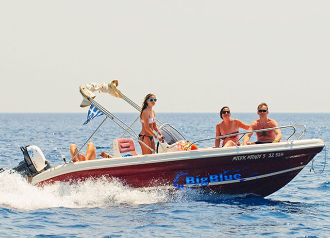 Ranieri 19 Shark