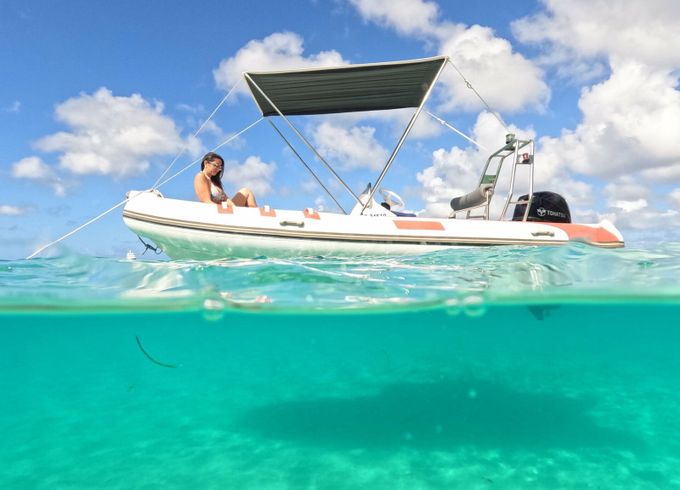 RIB 480 Ti Punch