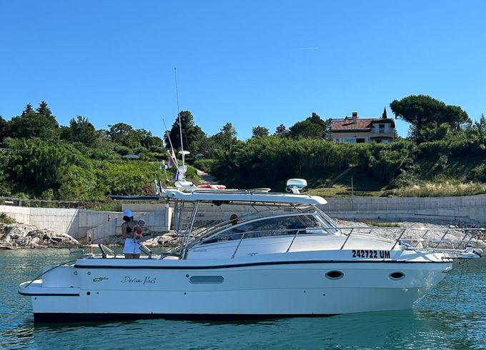 Polyform Triakis C30 Divina