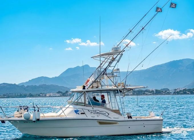 Pursuit Offshore 3000 Mystic
