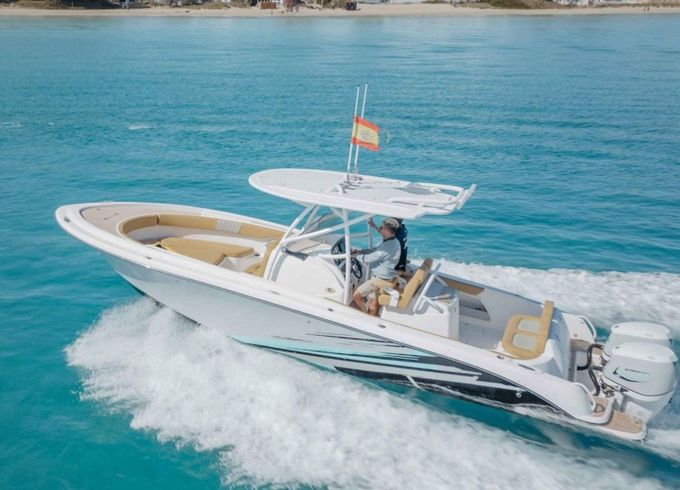 Pronautica 880 Sport Open Evinrude