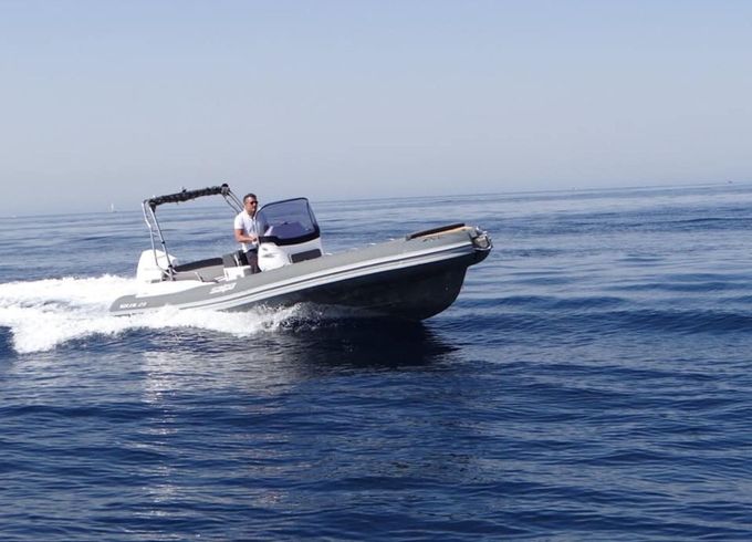 Salpa 23 Alexander