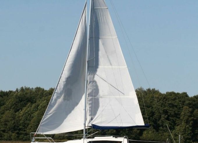 Sasanka 660 Cyranka 1