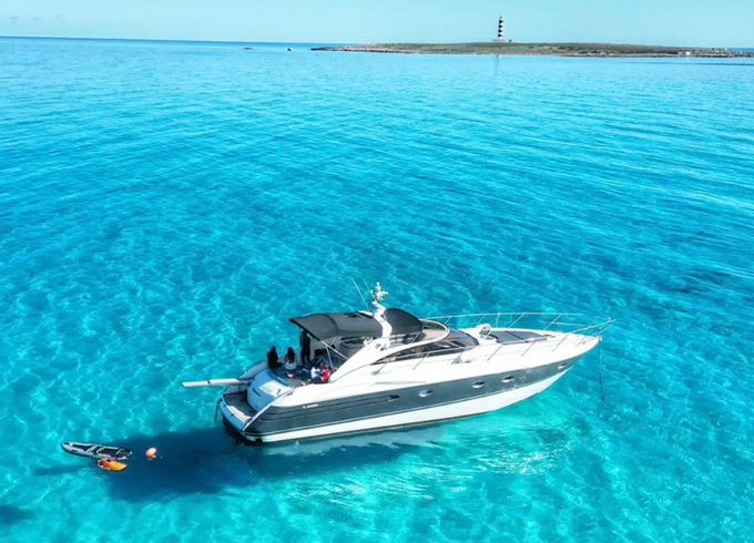 Princess V50 Yara
