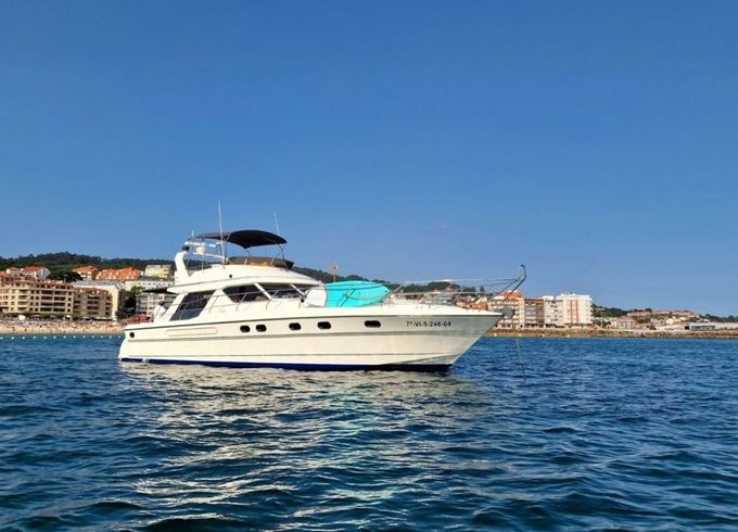 Princess V55 Loyal