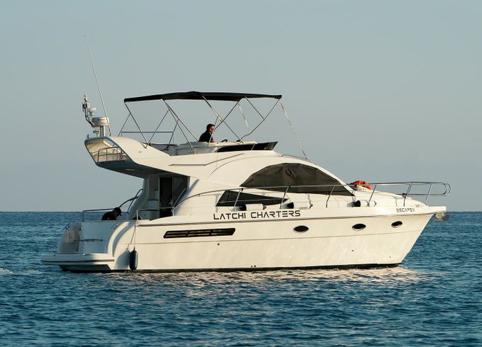 Rodman 38 Escape 2