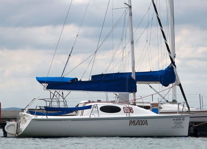 Scholtz 22 Maya