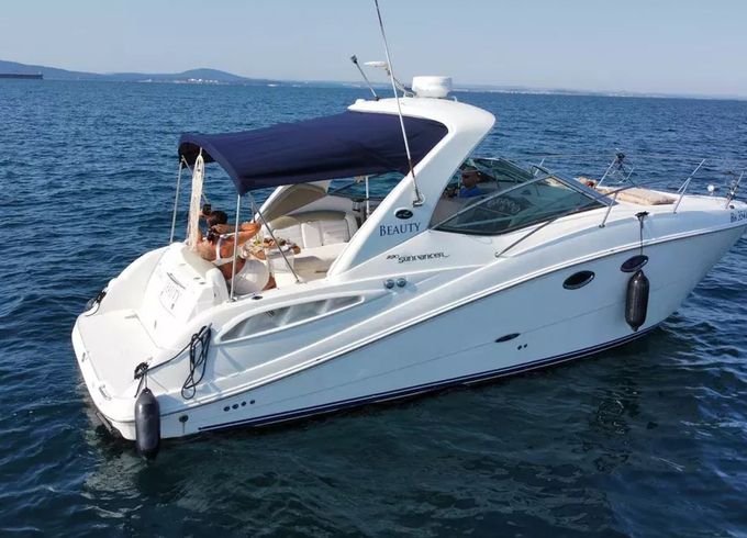 Sea Ray 290 Beauty