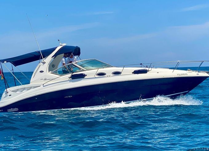 Sea Ray 355 JM10