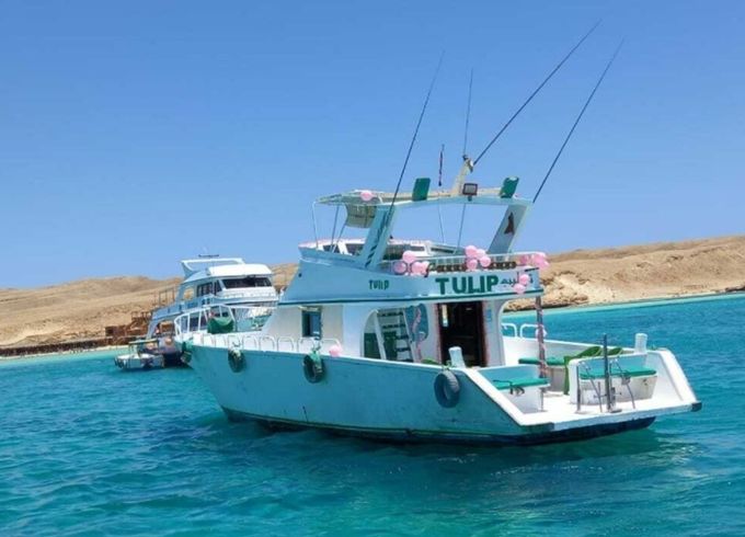 Rashid Shipyard Tulip