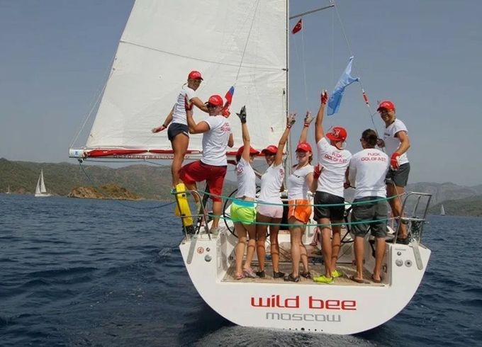 Salona 41 Wild Bee