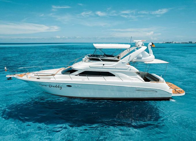 Sea Ray 50 Sea Daddy
