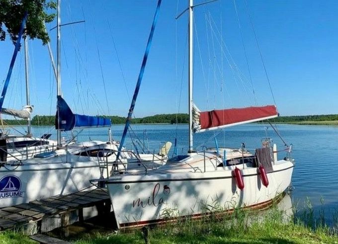 Sasanka 660 Mila