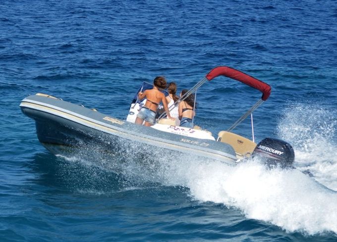 Salpa Soleil 23 Agamemnon