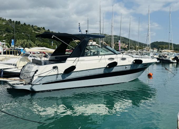 Sea Ray 290 Arrow