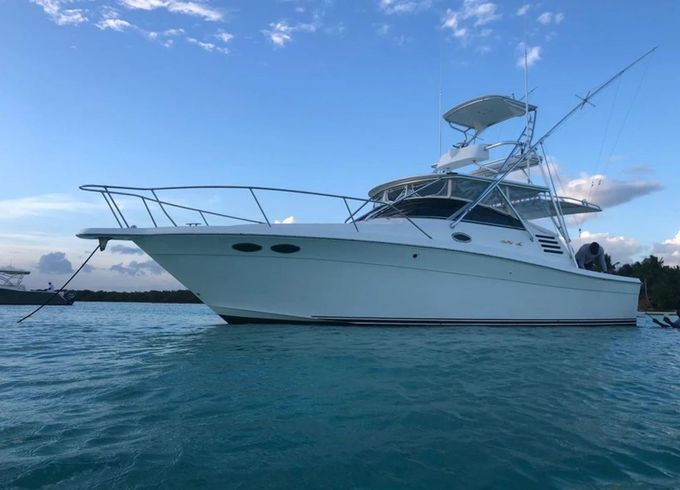 Sea Ray 35 Express La Pichona