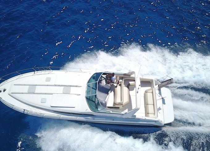 Sea Ray 455 Sundancer Octapus