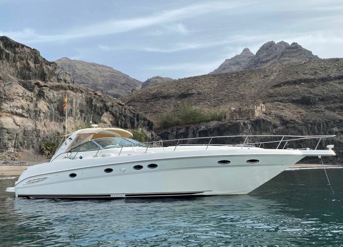 Sea Ray 460 New  Infinity