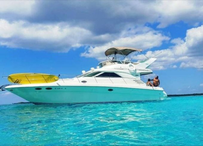 Sea Ray Sedane Bridge 400 Aquaman
