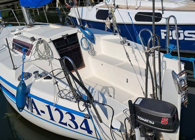 Sasanka 620 Artemis