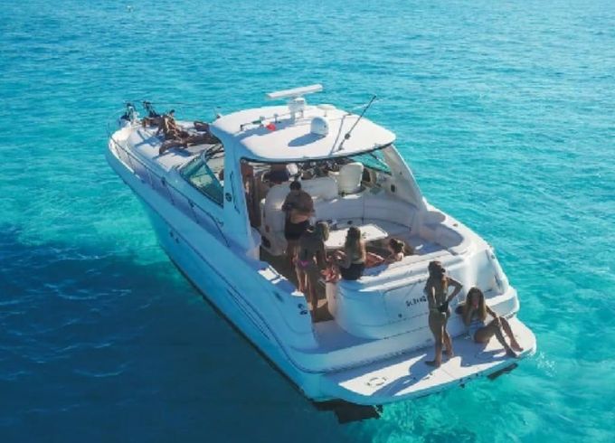 Sea Ray 46 Hampton