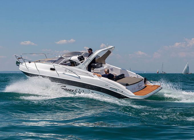 Saver 830 Saracen King
