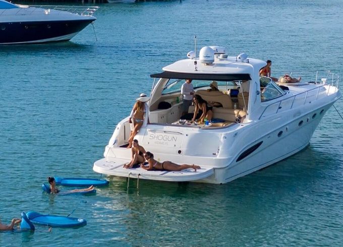 Sea Ray 50 Shogun