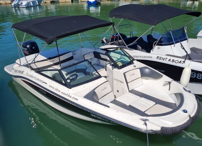 Sea Ray 19 SPX 00
