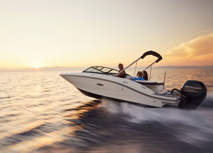 Sea Ray 19 SPX OB White